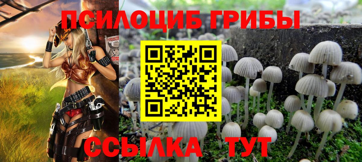 Галлюциногенные грибы мицелий  даркнет сайт  Киров  Вход с VPN 